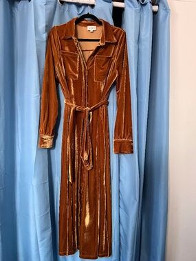 Aura gold velvet dress